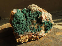 Natural Rare Ball Malachite On Drusy Quartz & Dolomite Matrix  x 1 From Kambove, Congo - Toprock Gemstones and Minerals