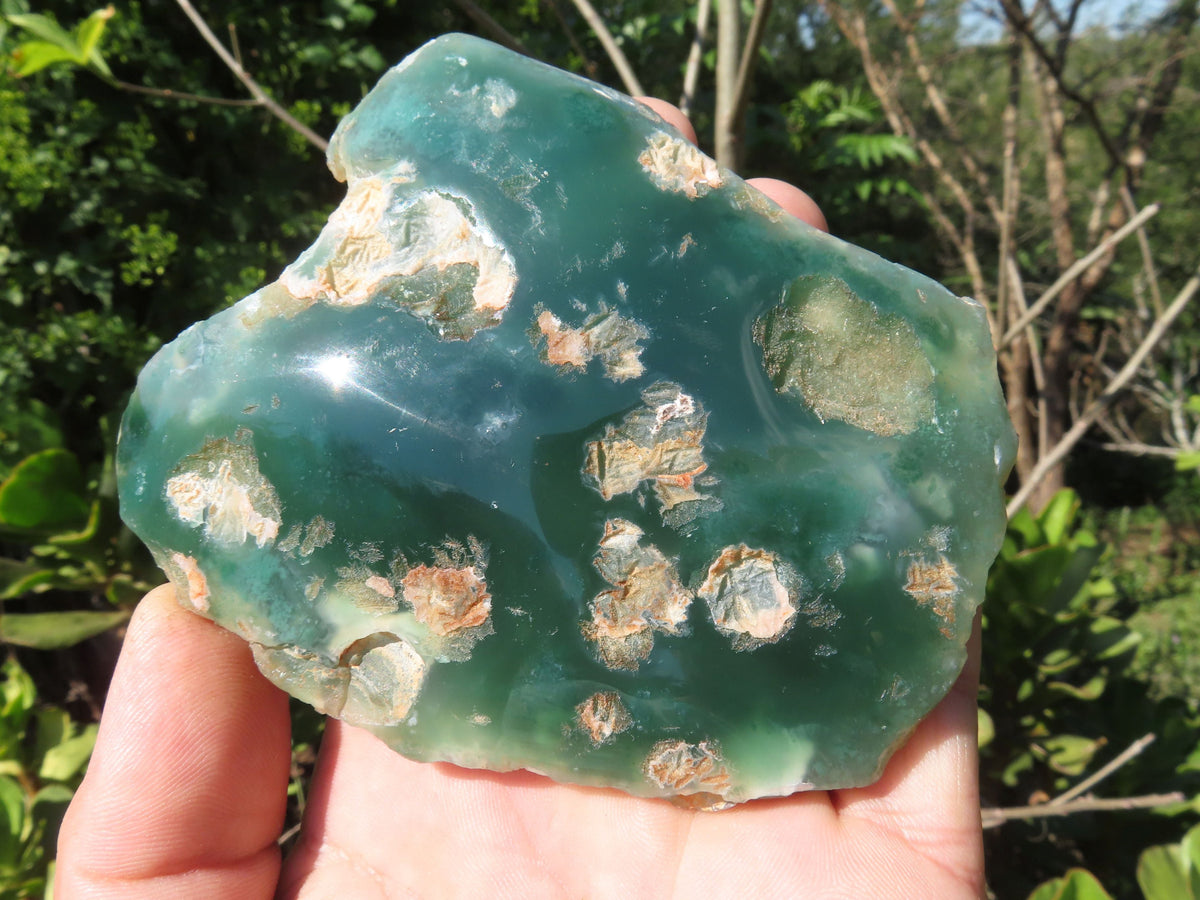 Polished One Side Mtorolite Slices x 6 From Mutorashanga, Zimbabwe - TopRock