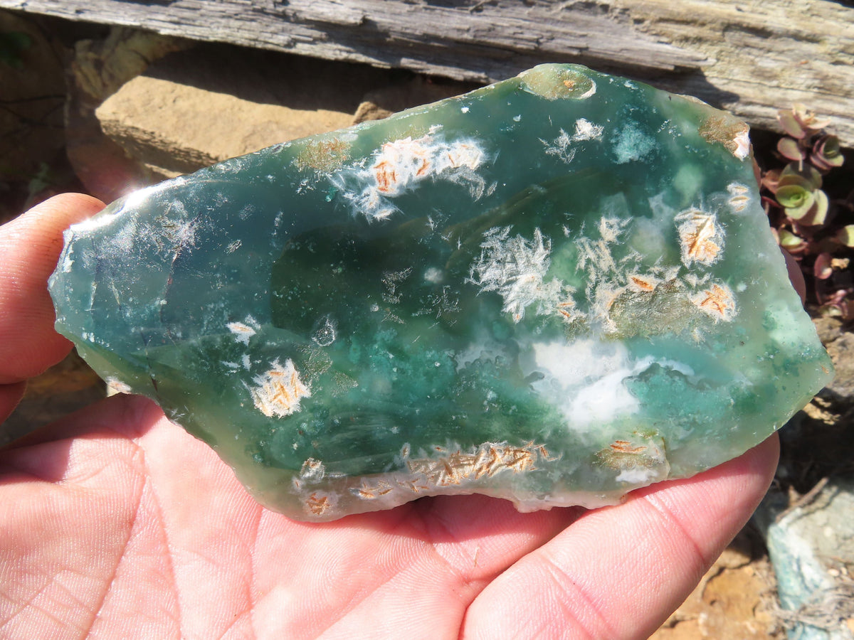 Polished One Side Mtorolite Slices x 6 From Mutorashanga, Zimbabwe - TopRock
