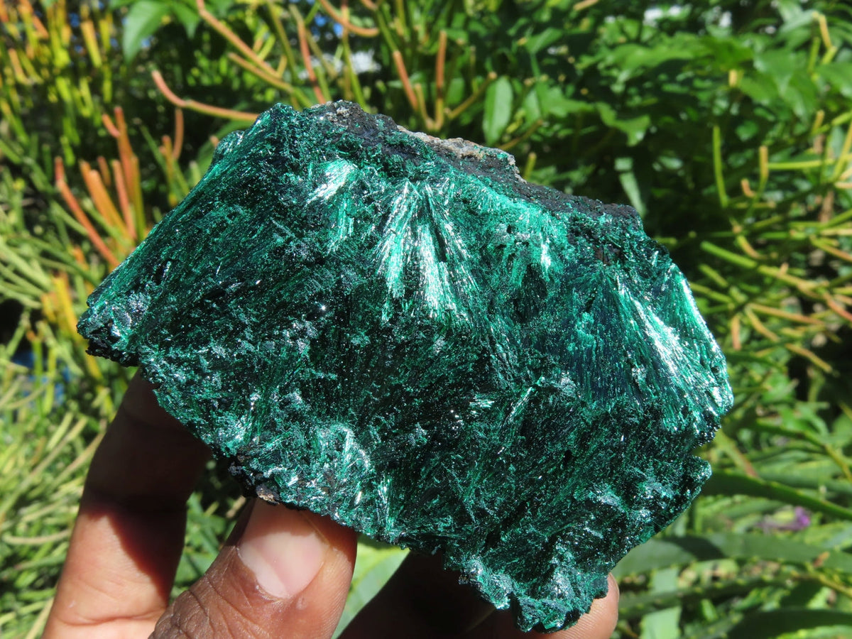 Natural Silky Malachite Specimens x 6 From Kasompe, Congo - TopRock