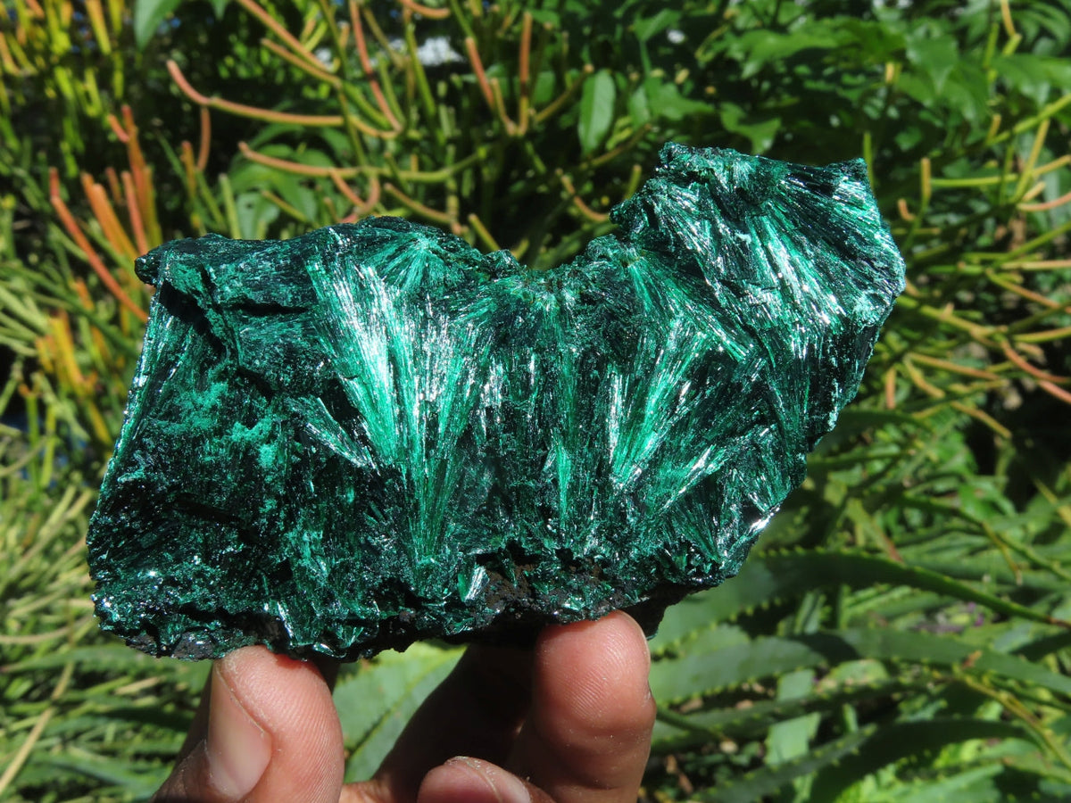 Natural Silky Malachite Specimens x 6 From Kasompe, Congo - TopRock