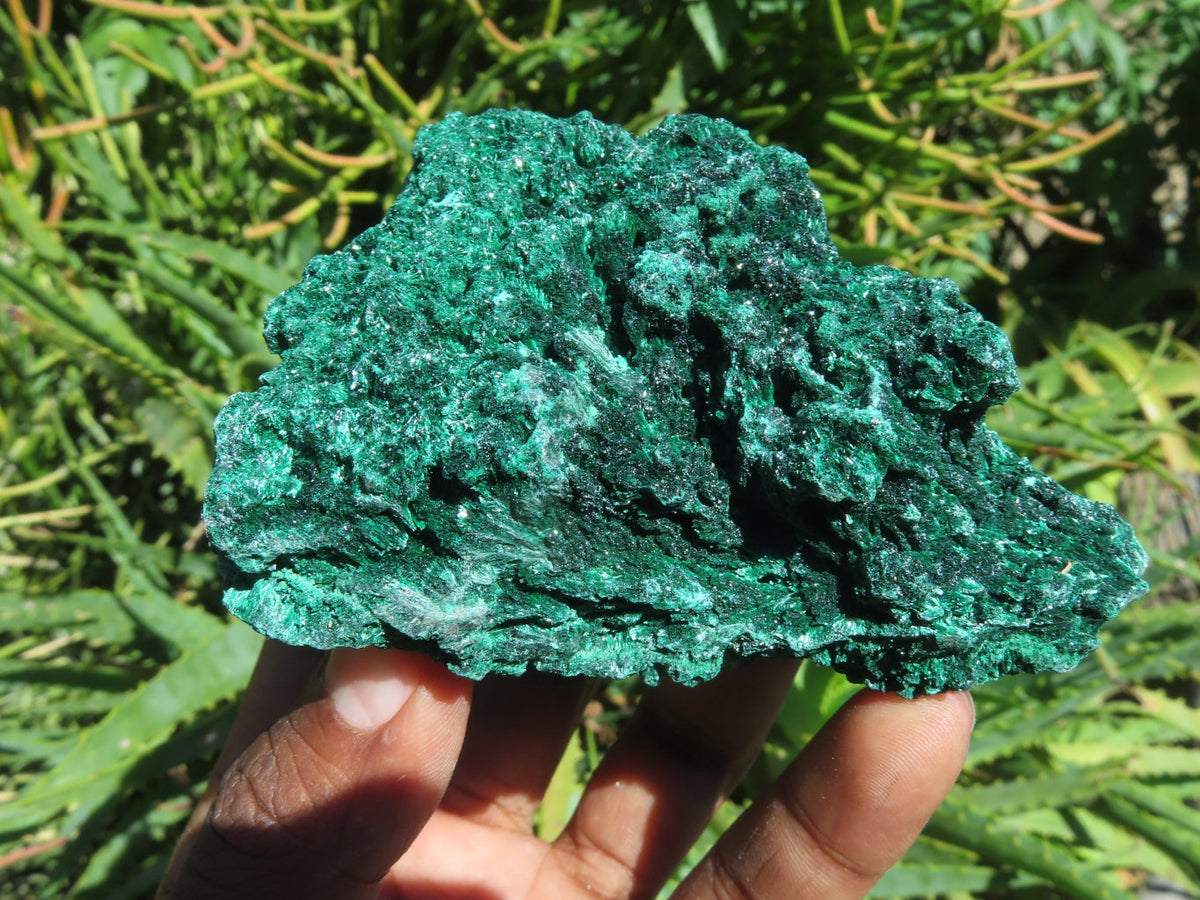 Natural Silky Malachite Specimens x 6 From Kasompe, Congo - TopRock