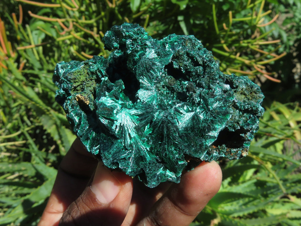 Natural Silky Malachite Specimens x 6 From Kasompe, Congo - TopRock