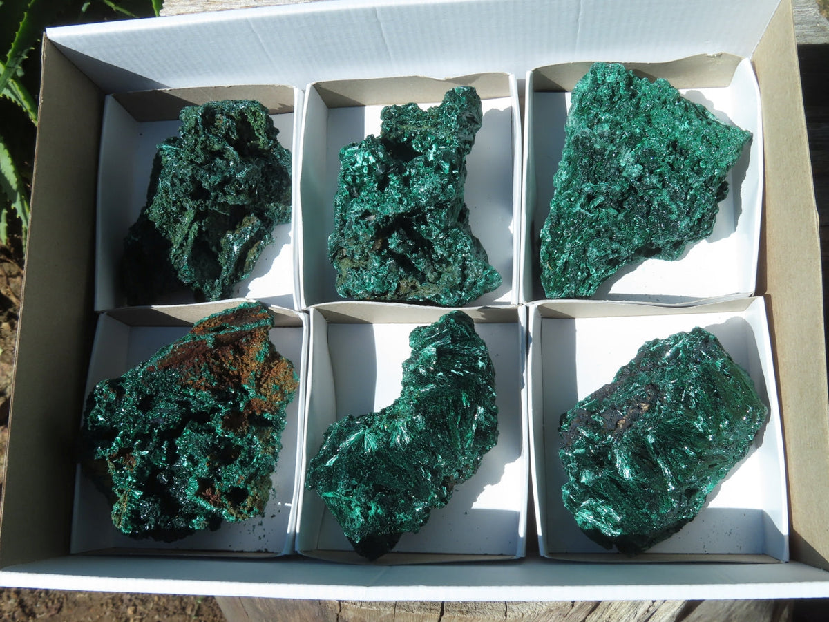 Natural Silky Malachite Specimens x 6 From Kasompe, Congo - TopRock