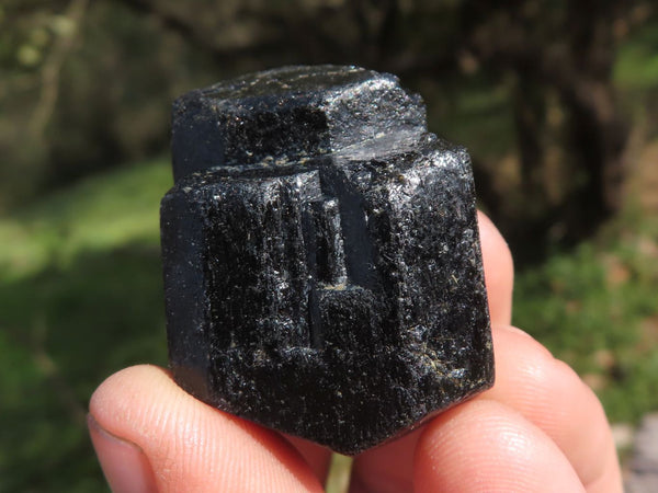 Natural Double Terminated Alluvial Black Tourmaline Crystals  x 20 From Zimbabwe - TopRock