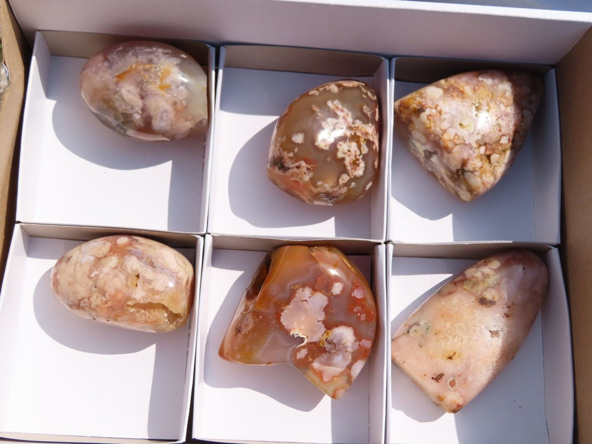 Polished Coral Flower Agate Standing Free Forms x 6 From Madagascar - TopRock