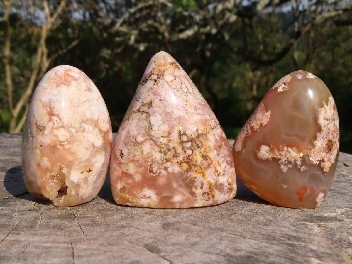 Polished Coral Flower Agate Standing Free Forms x 6 From Madagascar - TopRock