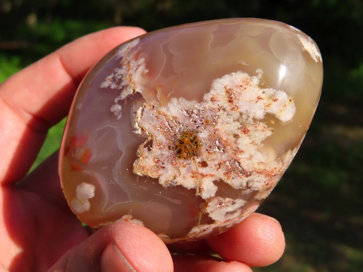Polished Coral Flower Agate Standing Free Forms x 6 From Madagascar - TopRock