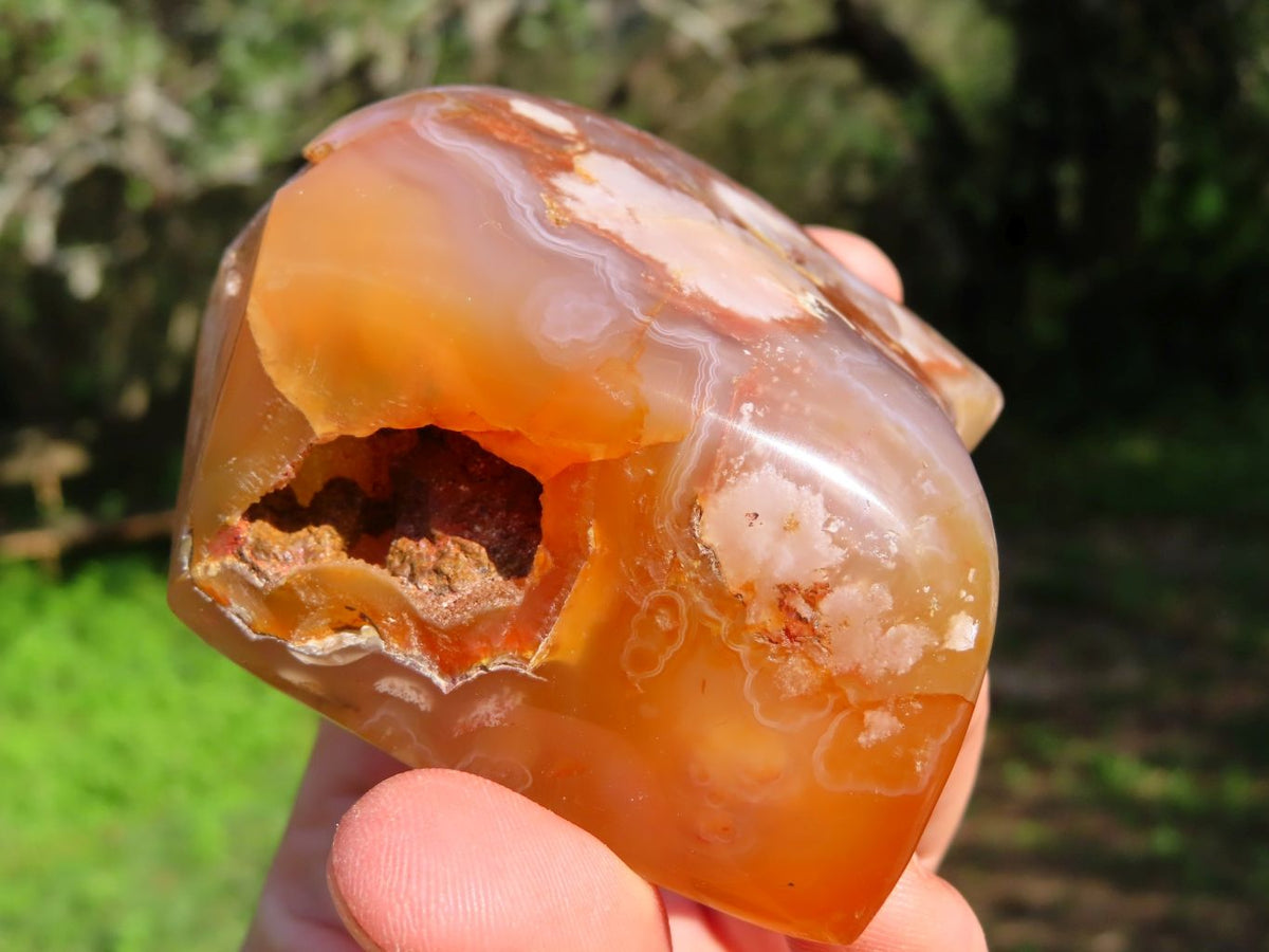 Polished Coral Flower Agate Standing Free Forms x 6 From Madagascar - TopRock