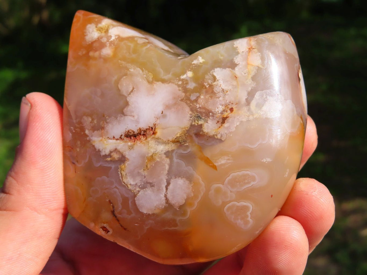 Polished Coral Flower Agate Standing Free Forms x 6 From Madagascar - TopRock