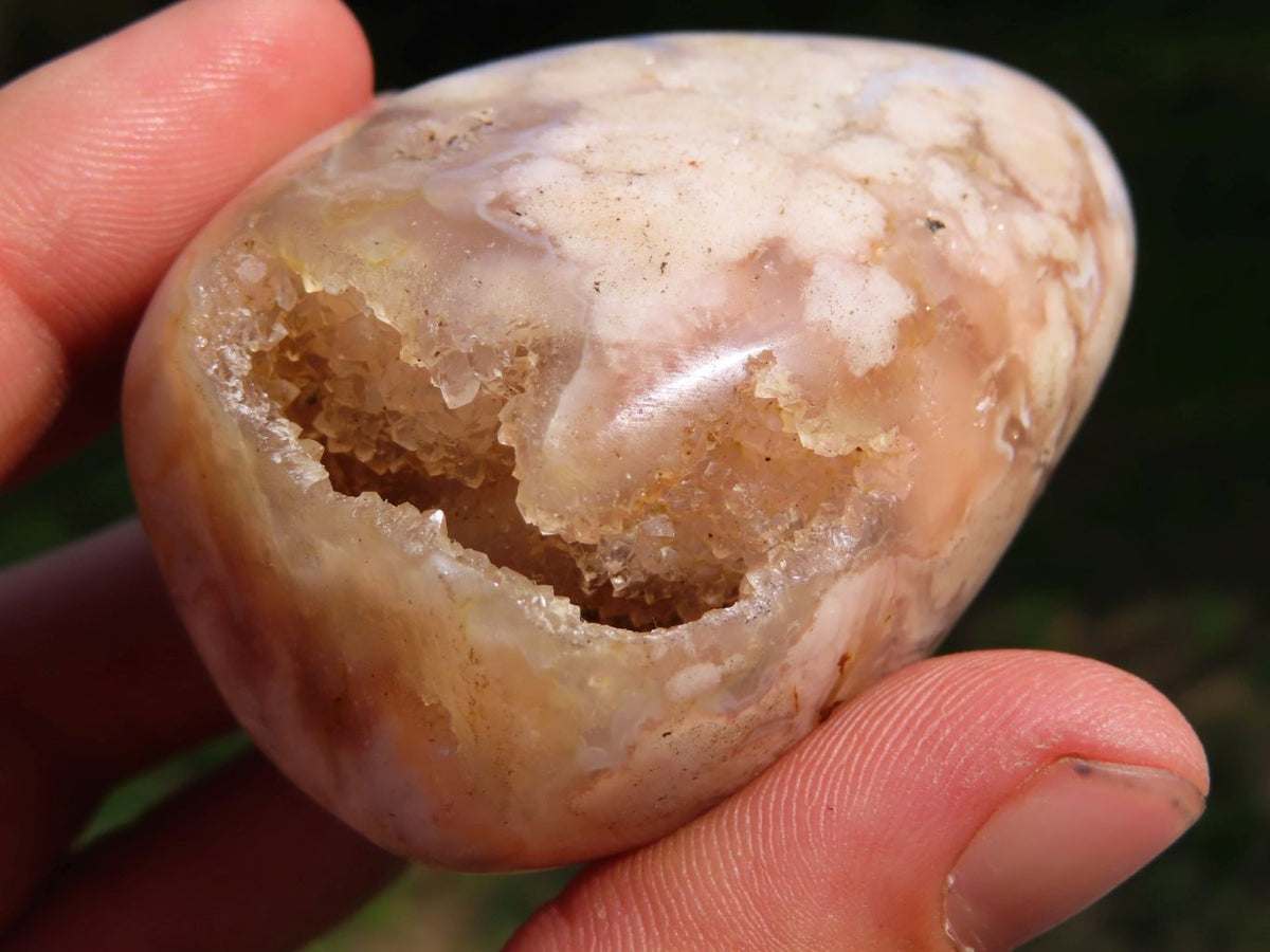 Polished Coral Flower Agate Standing Free Forms x 6 From Madagascar - TopRock
