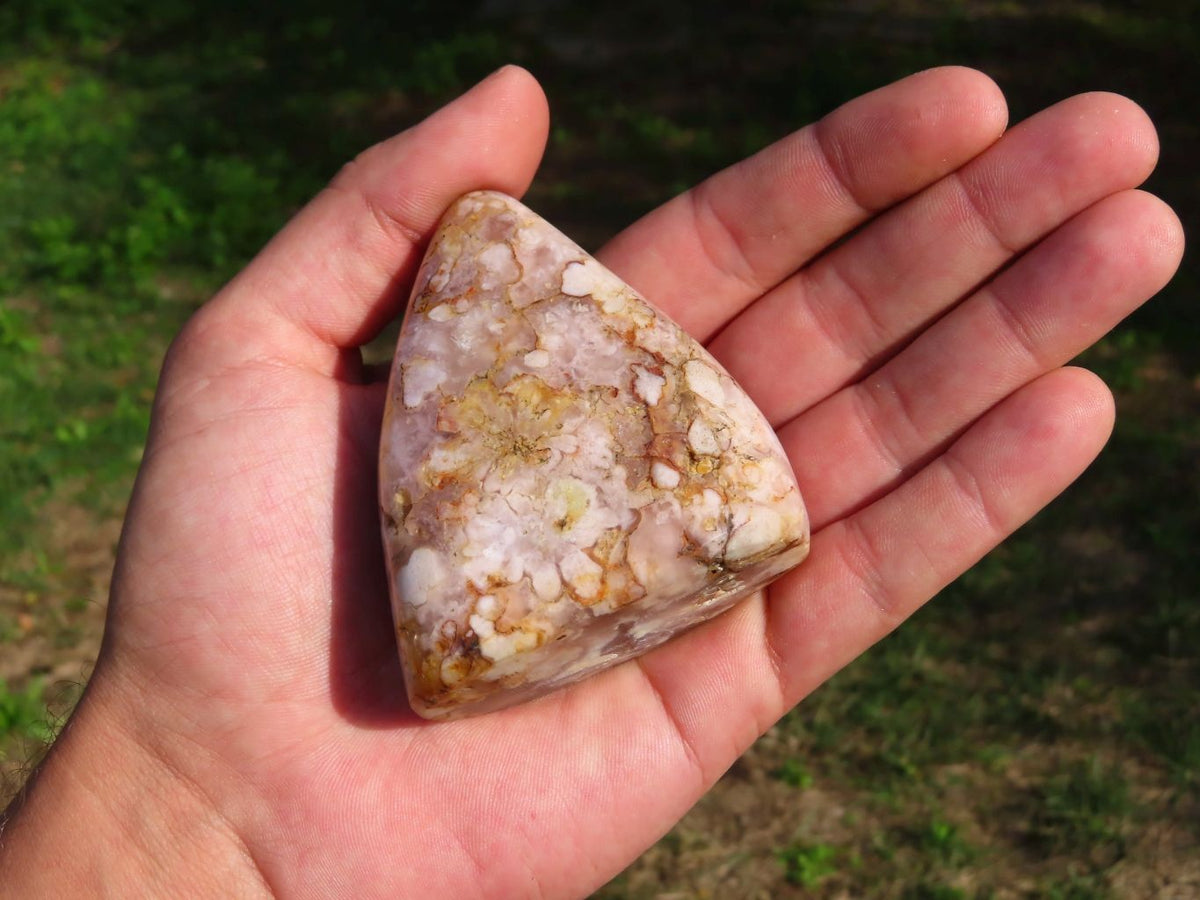 Polished Coral Flower Agate Standing Free Forms x 6 From Madagascar - TopRock