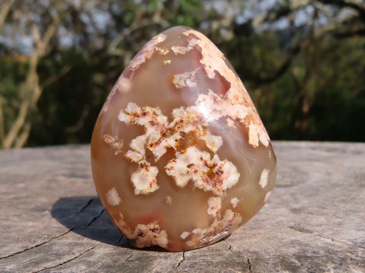 Polished Coral Flower Agate Standing Free Forms x 6 From Madagascar - TopRock