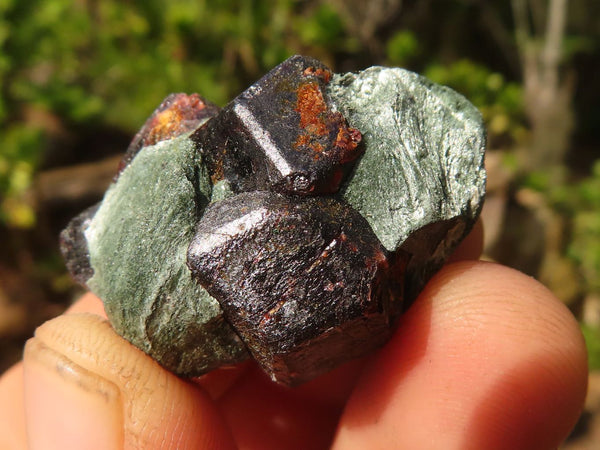Natural Pyrope Garnet Crystals  x 70 From Zimbabwe - Toprock Gemstones and Minerals 