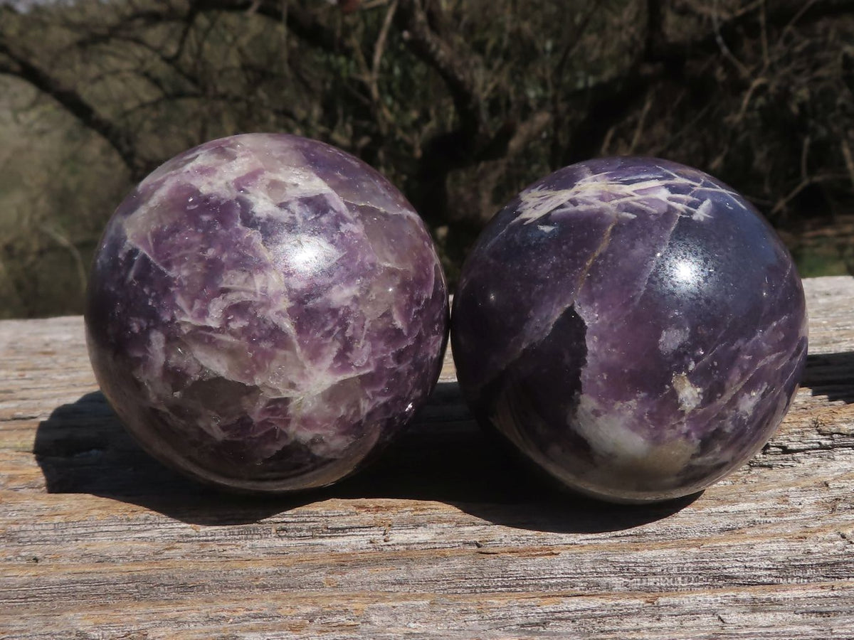 Polished Deep Purple Lepidolite Spheres x 4 From Madagascar - TopRock