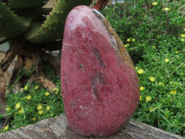 Polished Rhodonite Standing Free Forms x 2 From Madagascar - TopRock