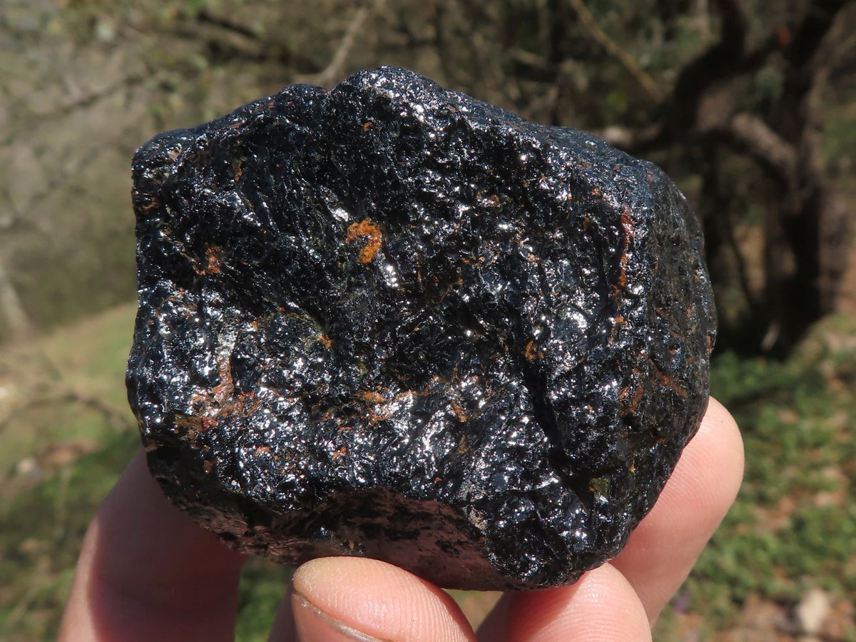 Natural Stone Sealed Alluvial Black Schorl Tourmaline Crystals x 14 From Zimbabwe - TopRock