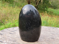 Polished Black Tourmaline Standing Free Form x 1 From Madagascar - TopRock