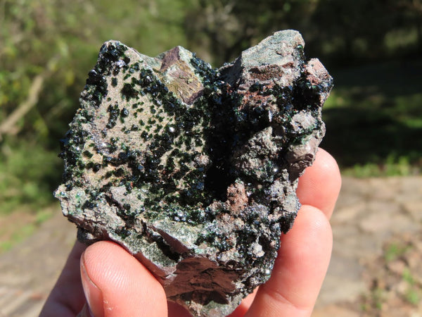 Natural Rare Copper Phosphate Libethenite On Dolomite Clusters x 6 From Shituru, Congo - TopRock