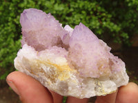 Natural Spirit Amethyst / Ametrine Quartz Clusters  x 19 From Boekenhouthoek, South Africa - Toprock Gemstones and Minerals