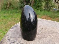 Polished Black Tourmaline Standing Free Form x 1 From Madagascar - TopRock