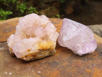 Natural Spirit Amethyst / Ametrine Quartz Clusters  x 19 From Boekenhouthoek, South Africa - Toprock Gemstones and Minerals