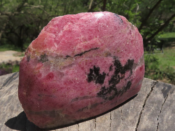 Polished One Side Polished Pink & Black Rhodonite Free Forms  x 6 From Madagascar - TopRock