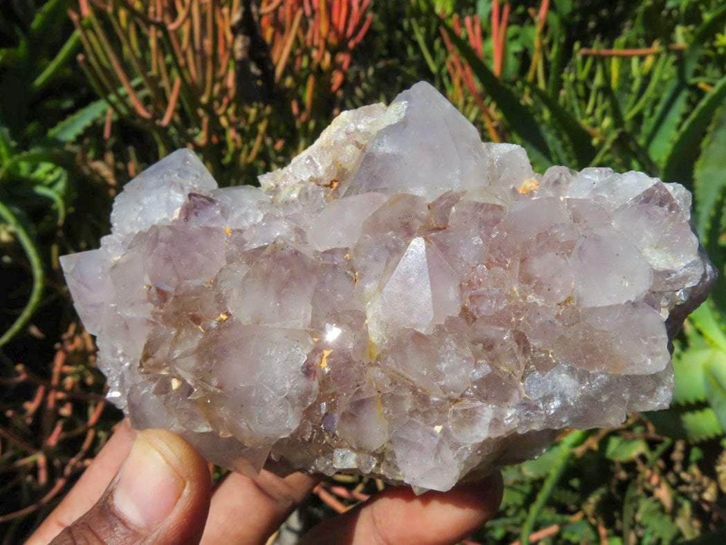 Natural Drusy Coated Unique Spirit Quartz In Cactus Flower & Fairy Finger Drusy Formations x 4 From Boekenhouthoek, South Africa - TopRock