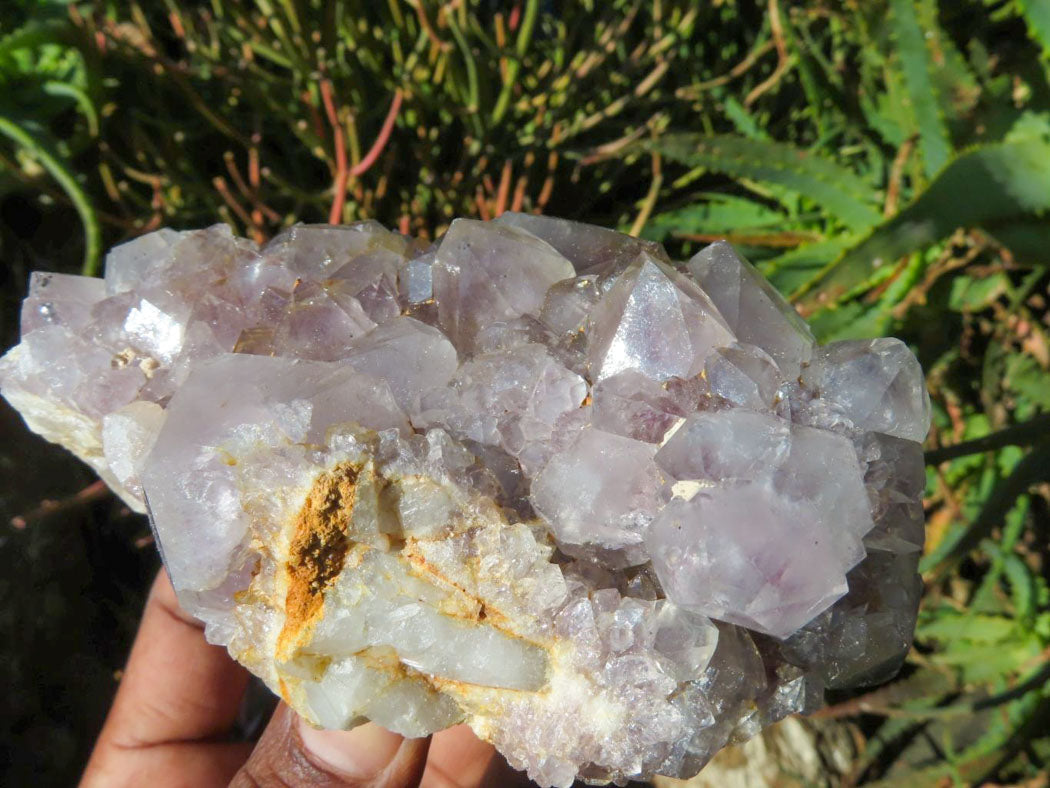 Natural Drusy Coated Unique Spirit Quartz In Cactus Flower & Fairy Finger Drusy Formations x 4 From Boekenhouthoek, South Africa - TopRock