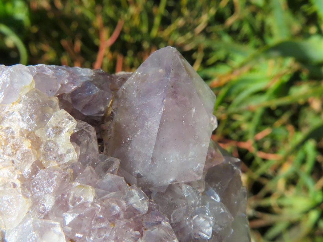 Natural Drusy Coated Unique Spirit Quartz In Cactus Flower & Fairy Finger Drusy Formations x 4 From Boekenhouthoek, South Africa - TopRock