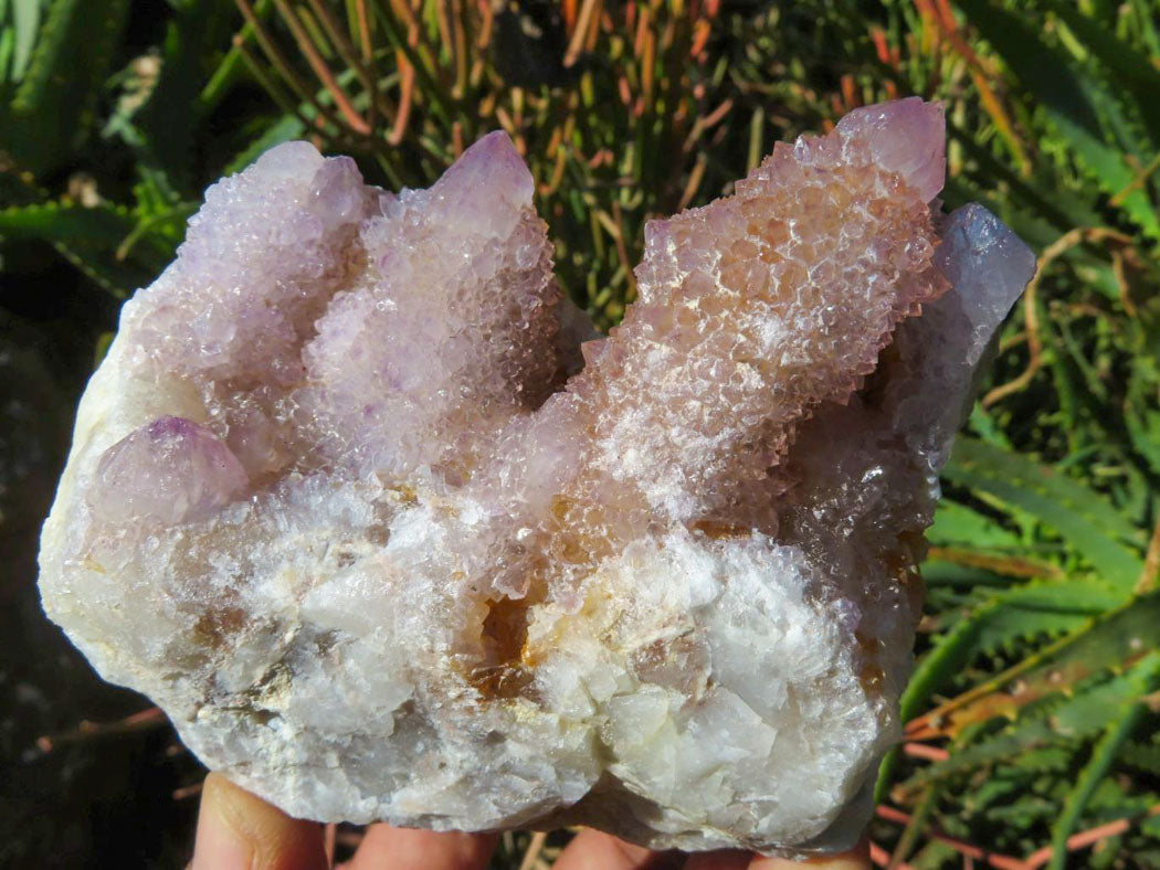 Natural Drusy Coated Unique Spirit Quartz In Cactus Flower & Fairy Finger Drusy Formations x 4 From Boekenhouthoek, South Africa - TopRock