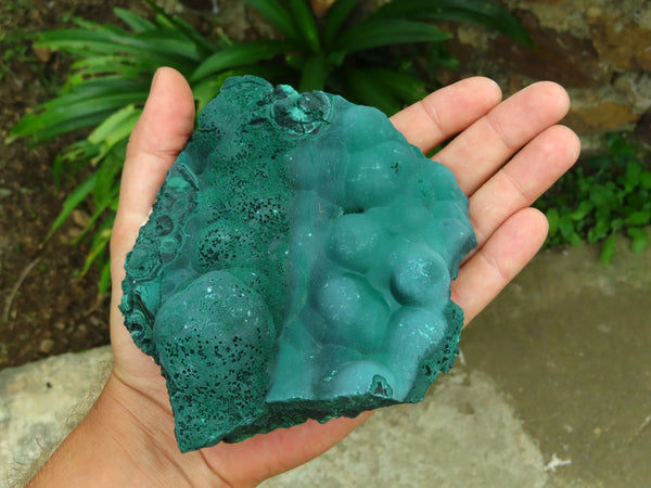 Natural Botryoidal Malachite Specimens x 2 From Congo - TopRock