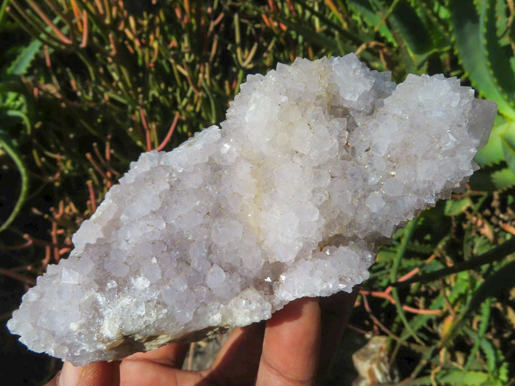 Natural Drusy Coated Unique Spirit Quartz In Cactus Flower & Fairy Finger Drusy Formations x 4 From Boekenhouthoek, South Africa - TopRock