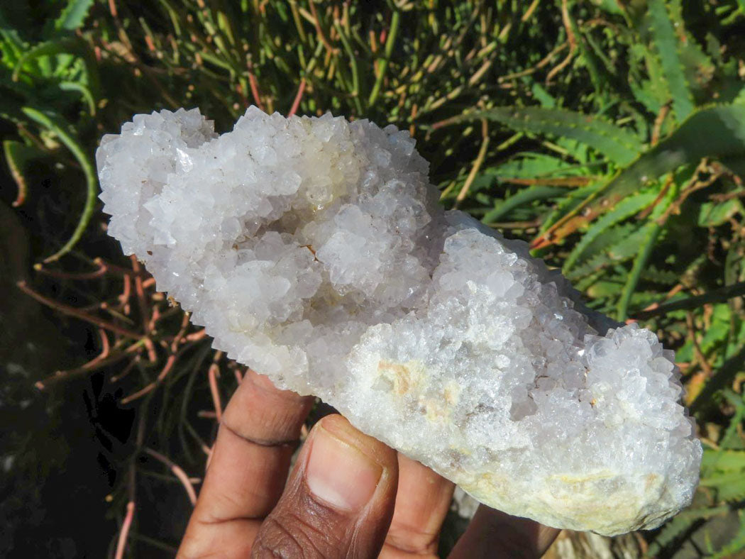 Natural Drusy Coated Unique Spirit Quartz In Cactus Flower & Fairy Finger Drusy Formations x 4 From Boekenhouthoek, South Africa - TopRock