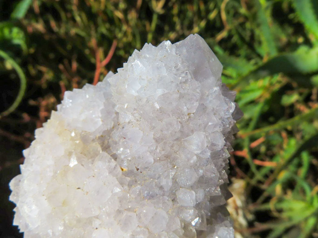 Natural Drusy Coated Unique Spirit Quartz In Cactus Flower & Fairy Finger Drusy Formations x 4 From Boekenhouthoek, South Africa - TopRock