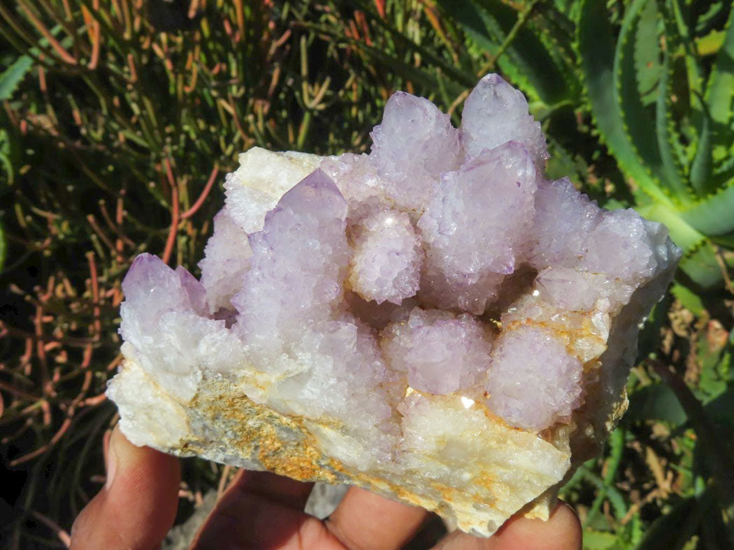 Natural Drusy Coated Unique Spirit Quartz In Cactus Flower & Fairy Finger Drusy Formations x 4 From Boekenhouthoek, South Africa - TopRock