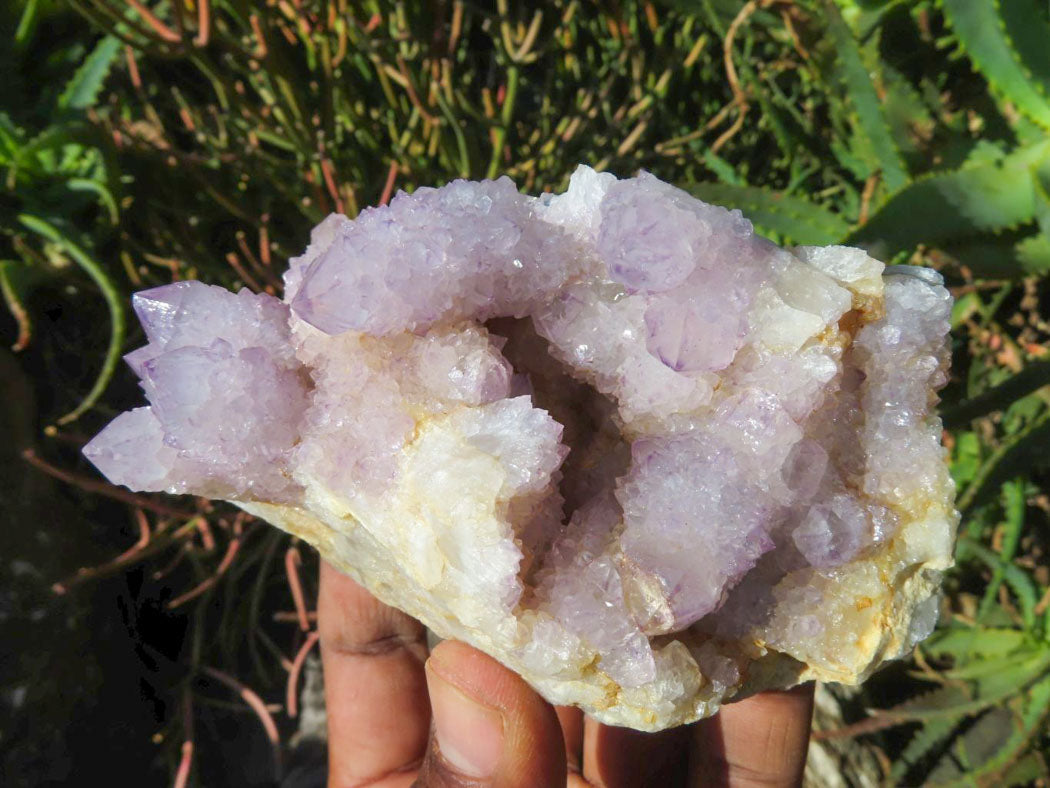 Natural Drusy Coated Unique Spirit Quartz In Cactus Flower & Fairy Finger Drusy Formations x 4 From Boekenhouthoek, South Africa - TopRock