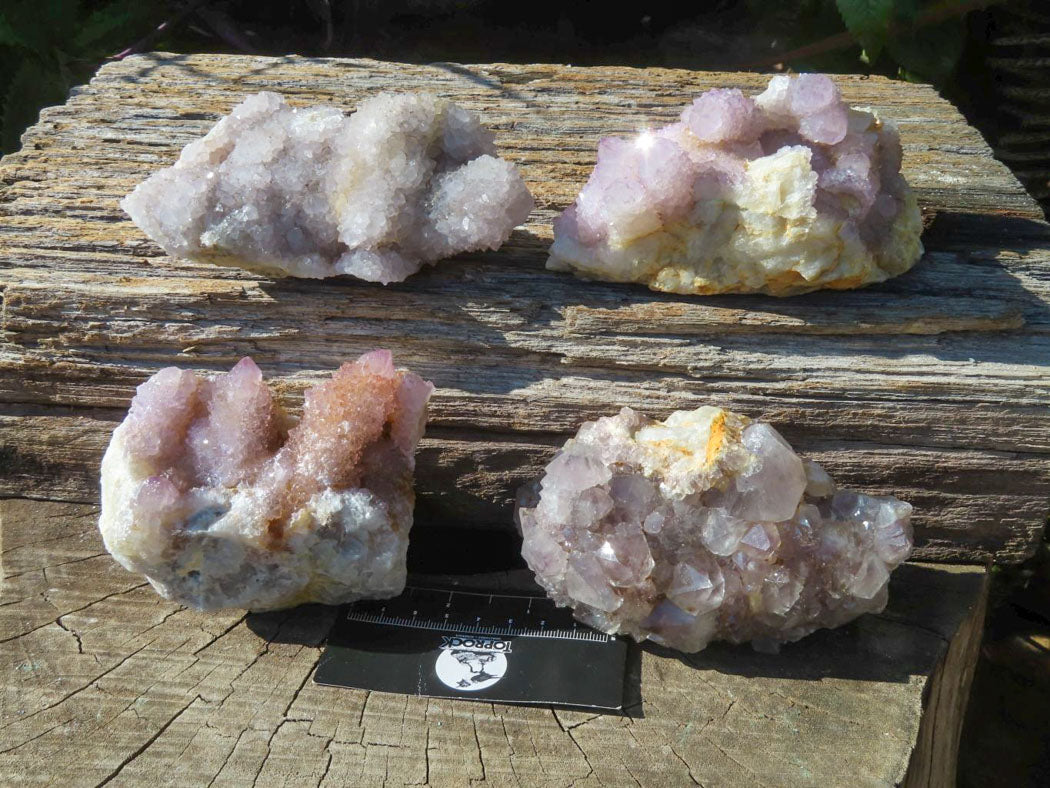 Natural Drusy Coated Unique Spirit Quartz In Cactus Flower & Fairy Finger Drusy Formations x 4 From Boekenhouthoek, South Africa - TopRock