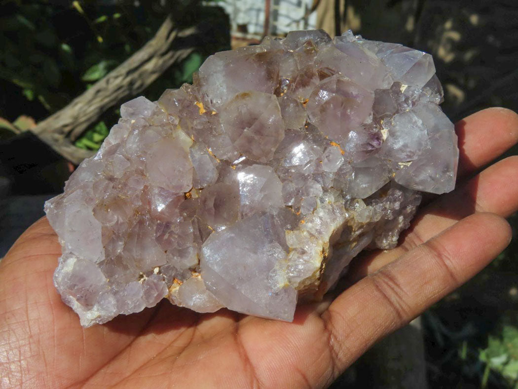 Natural Drusy Coated Unique Spirit Quartz In Cactus Flower & Fairy Finger Drusy Formations x 4 From Boekenhouthoek, South Africa - TopRock