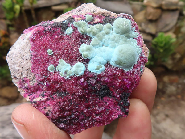 Natural Pink Salrose Cobaltion Dolomite Specimens  x 6 From Kakanda, Congo - Toprock Gemstones and Minerals 
