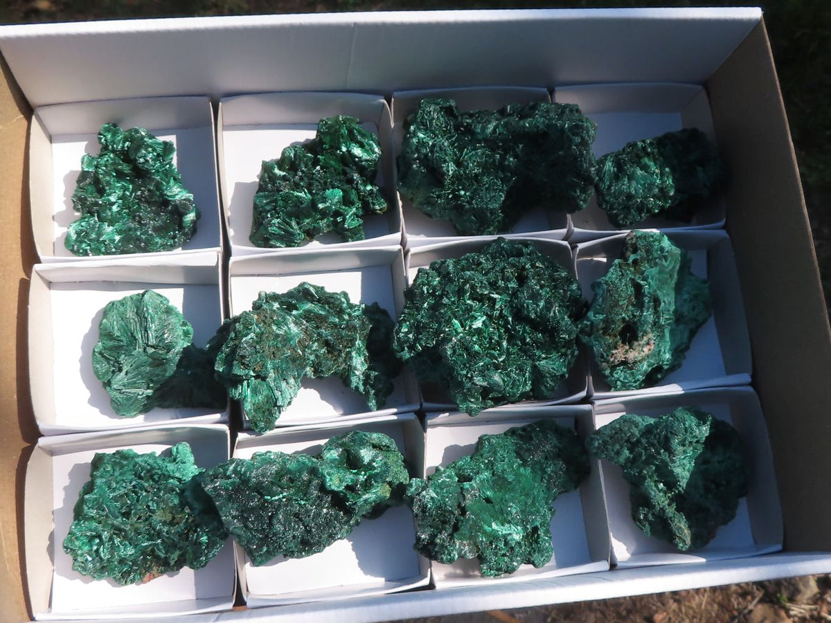 Natural Chatoyant Silky Malachite Specimens x 12 From Kasompe, Congo - TopRock