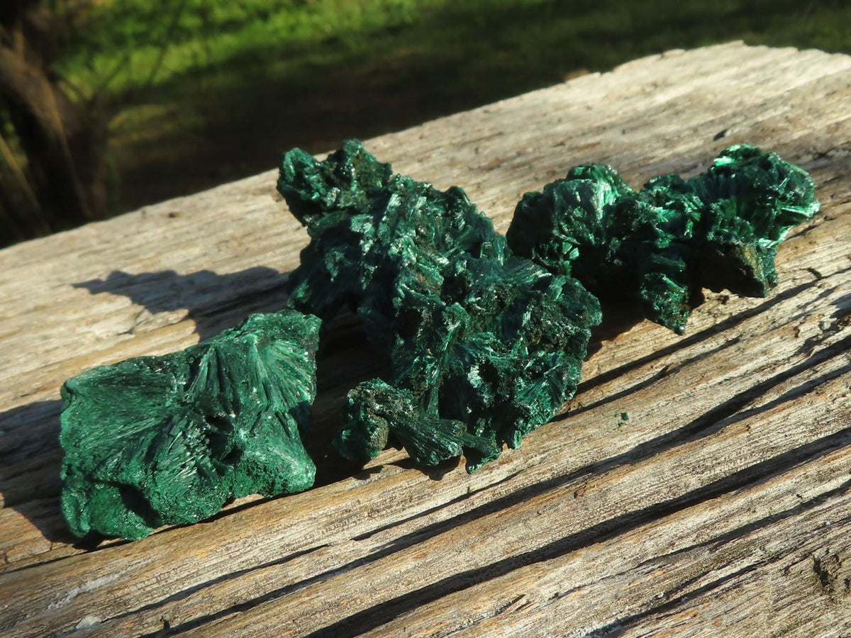Natural Chatoyant Silky Malachite Specimens x 12 From Kasompe, Congo - TopRock