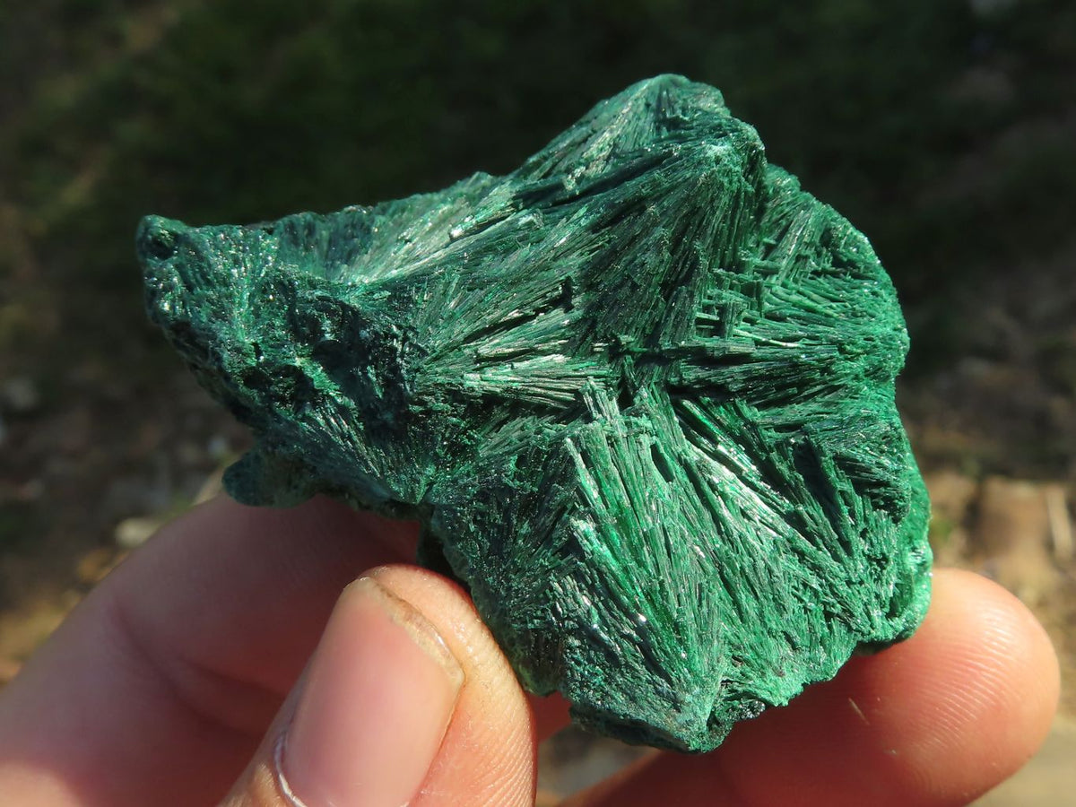 Natural Chatoyant Silky Malachite Specimens x 12 From Kasompe, Congo - TopRock