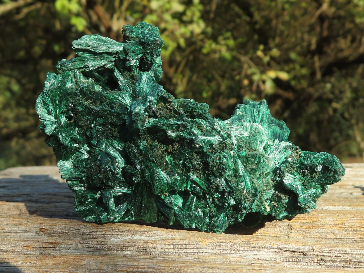 Natural Chatoyant Silky Malachite Specimens x 12 From Kasompe, Congo - TopRock