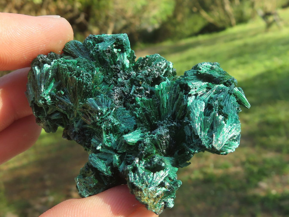 Natural Chatoyant Silky Malachite Specimens x 12 From Kasompe, Congo - TopRock