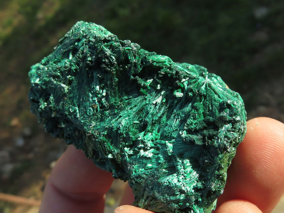 Natural Chatoyant Silky Malachite Specimens x 12 From Kasompe, Congo - TopRock