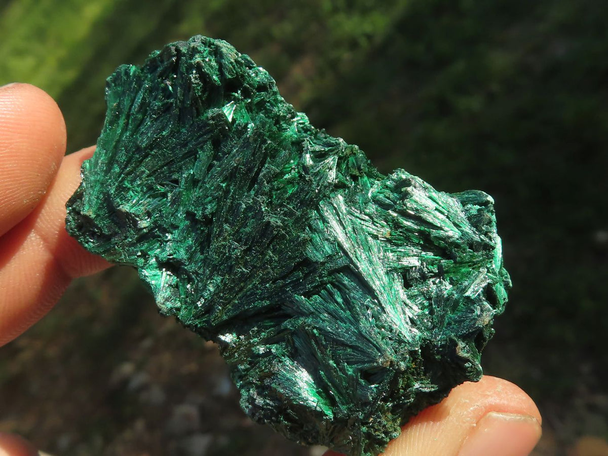 Natural Chatoyant Silky Malachite Specimens x 12 From Kasompe, Congo - TopRock