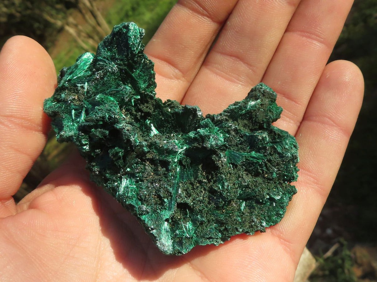 Natural Chatoyant Silky Malachite Specimens x 12 From Kasompe, Congo - TopRock