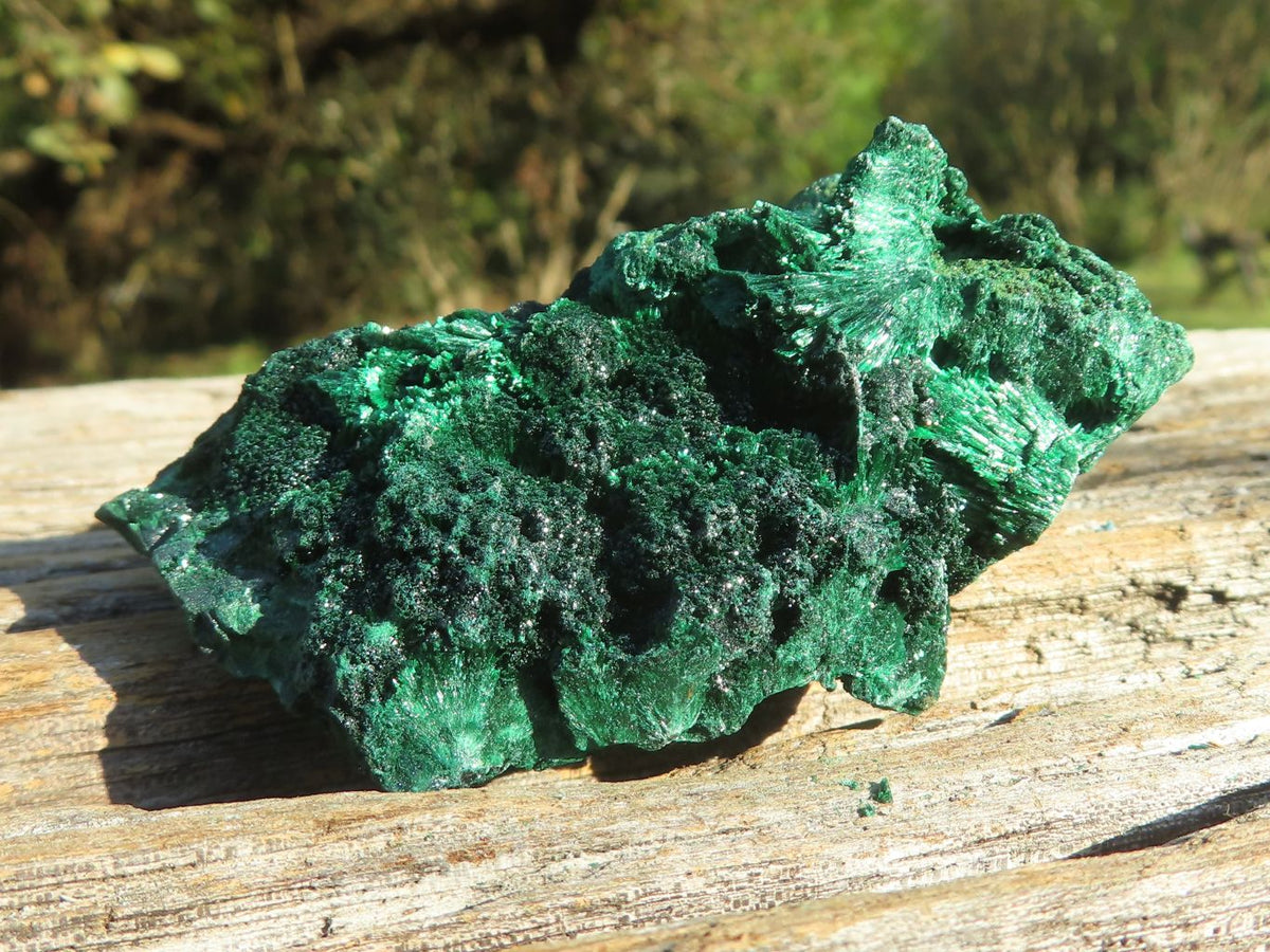 Natural Chatoyant Silky Malachite Specimens x 12 From Kasompe, Congo - TopRock