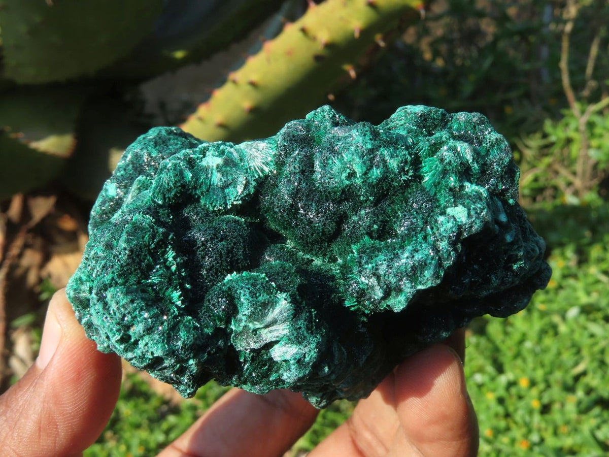Natural Silky Malachite Specimens x 3 From Kasompe, Congo - TopRock